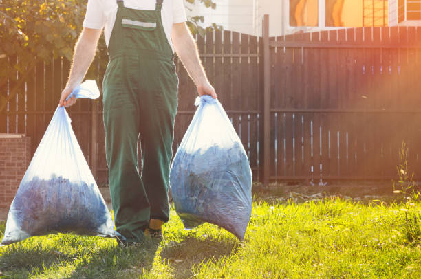Best Electronics and E-Waste Disposal  in Bernalillo, NM